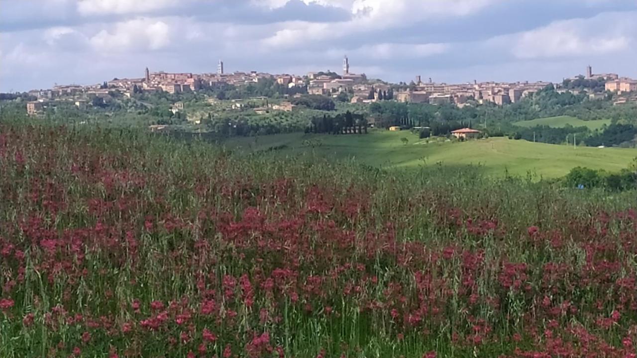 Dago Farmhouse Siena Exterior photo